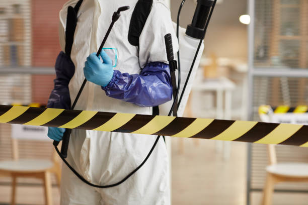 Professional Hoarding Cleanup technician working in Oak City, UT